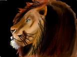 lion...:(
