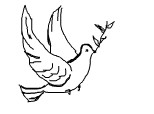 Desen 799 modificat:pace