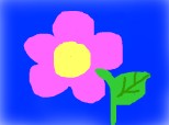 floarea roz