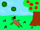 The tortoise