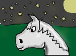 Calul white chocholate noaptea