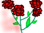 trandafirii iubirii!!!