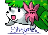 Pokemon- Shaymin