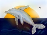 Delfinul saritor :P