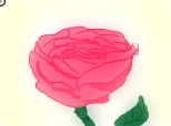 trandafir de mai