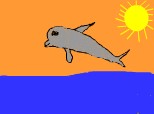 delfinu saritor