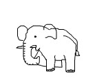 elefant urat