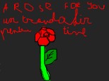 a rose for you