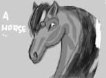 a horse...