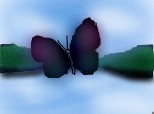 butterfly `nd nature