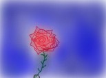 Trandafir :X