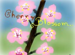 ...Cherry Blossom...
