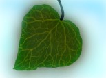 Leaf...