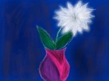 White flower ...:*