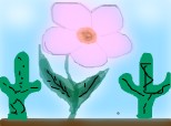 o floare in mijlocul desertului