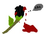 un trandafir rosu a devenit negru din cauza destramarii trupei rbd:((
