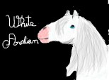 White Arabian