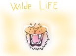 wilde life
