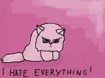 I HATE EVERYTHING!
