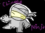 Chinese ninja