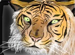Desen 74847 continuat:portret de tigru