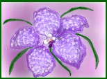 Orhidee punctata