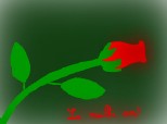 trandafirul rosu