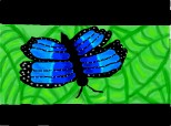 un fluture albastru