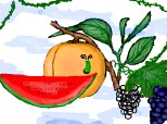 Desen 4710 modificat:fructe