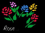 rose...colaborare cu ~a sosit vara~