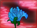 ...trandafirul albastru...