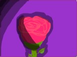 The pink rose(Dora)