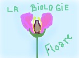 la biologie floarea