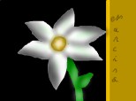 Narcisa(pt. totzi utilizatorii cu nume de flori!!!)