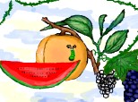 Desen 4862 modificat:pepene