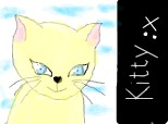 kitty :x