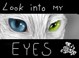 Cat\'s eyes