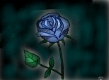 un trandafir albastru...