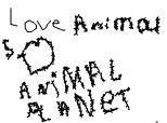 love animals