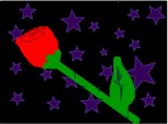 rose in stardust