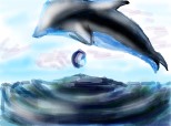 gata un delfin