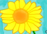 Floarea-Soarelui