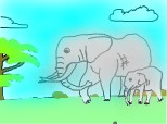 elefantzi