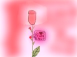 Trandafir i love you