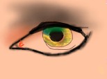 an eye