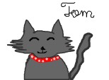 un pisik pe nume Tom