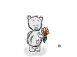 tatty bear flower