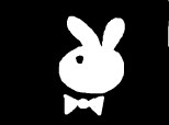 Cik Playboy Rabbit