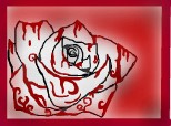 trandafir insangerat