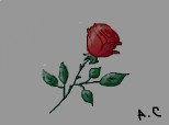 Desen 4880 modificat:un trandafir